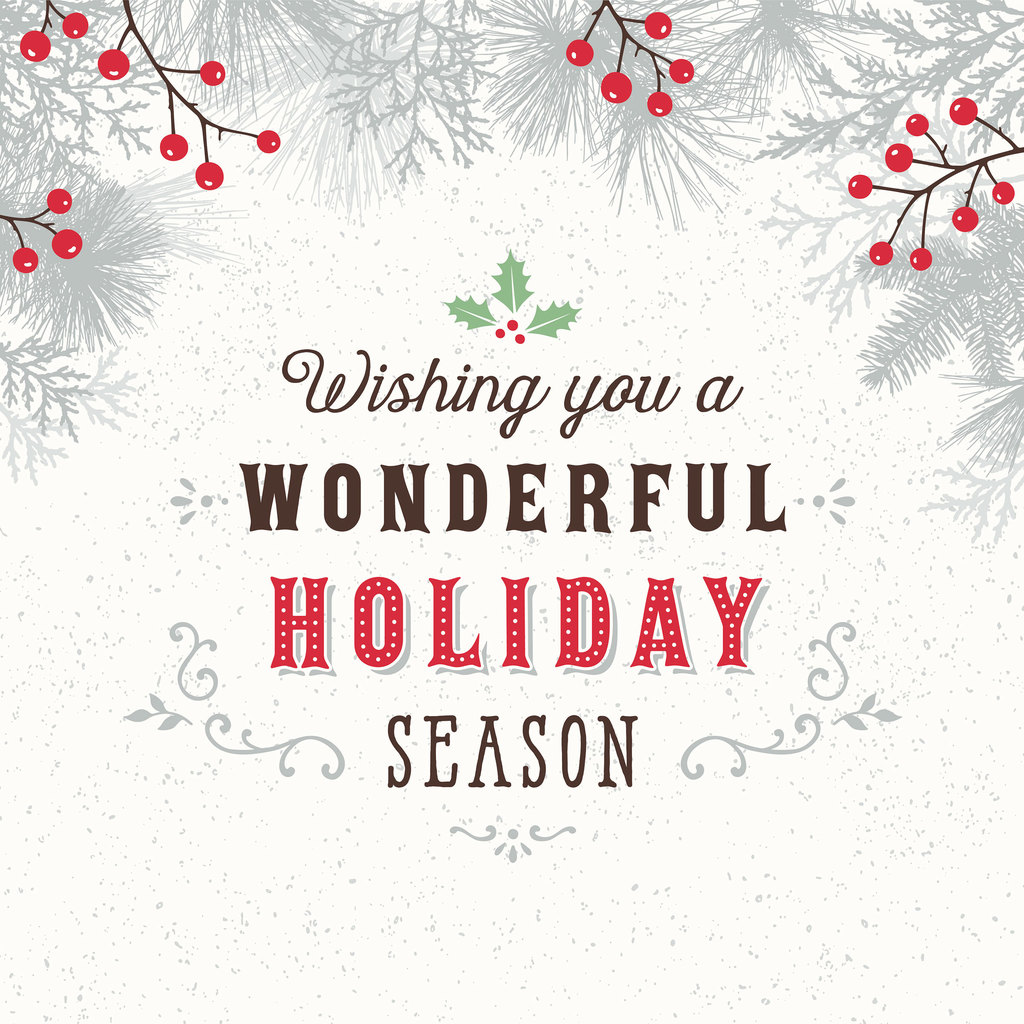 wishing you a wonderful holiday season